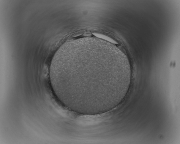 X0000110710025200907101255