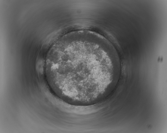 X0000110710026200907101255
