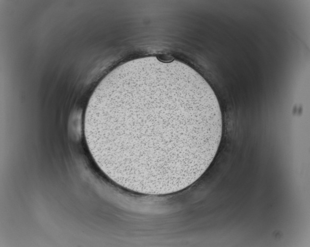 X0000110710028200907101255
