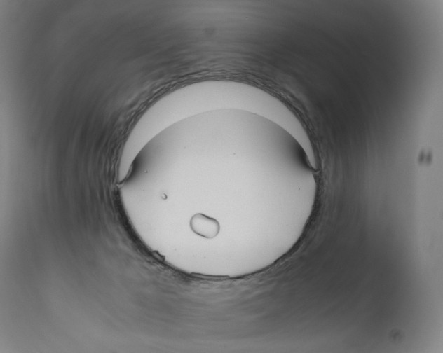 X0000110710029200907101255