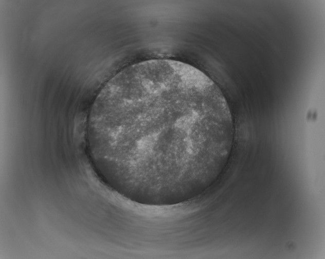 X0000110710030200907101255