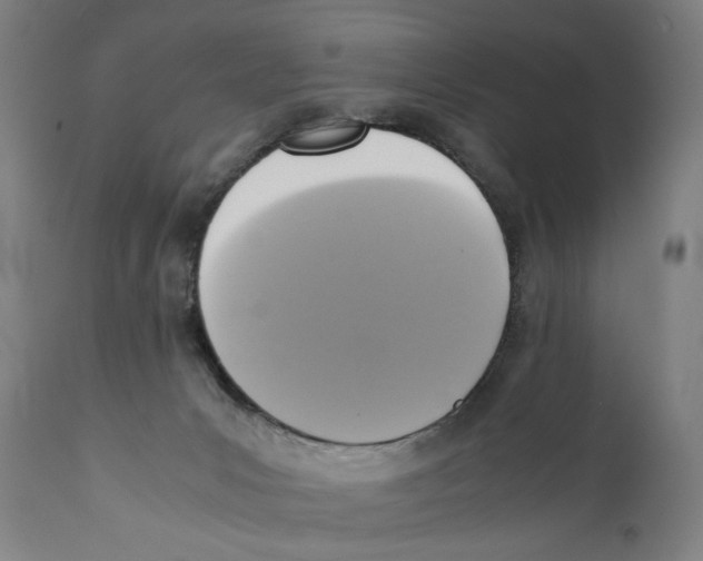 X0000110710031200907101255