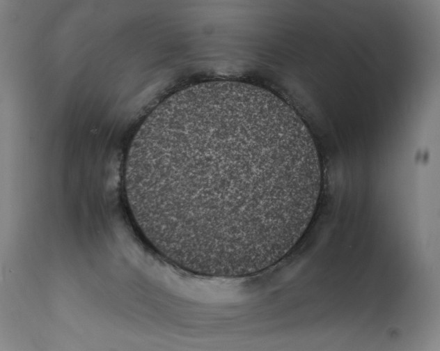 X0000110710032200907101255