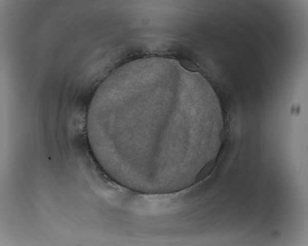 X0000110710033200907101255