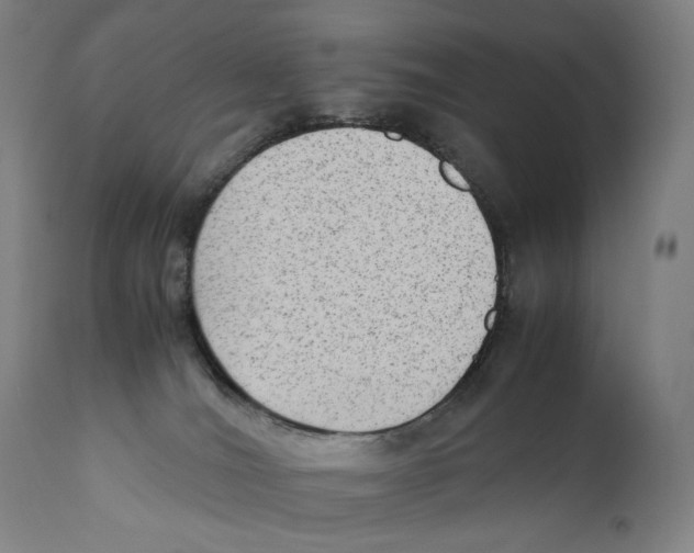 X0000110710036200907101255