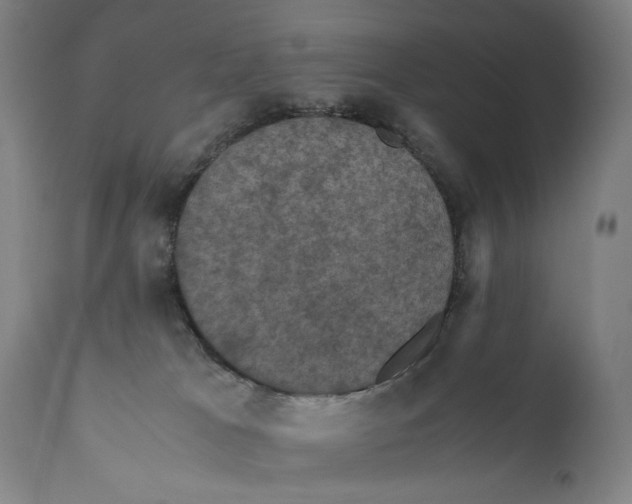X0000110710037200907101255