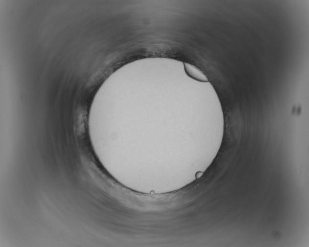 X0000110710038200907101255