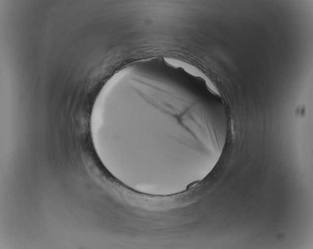 X0000110710039200907101255