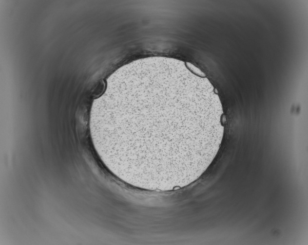 X0000110710040200907101255