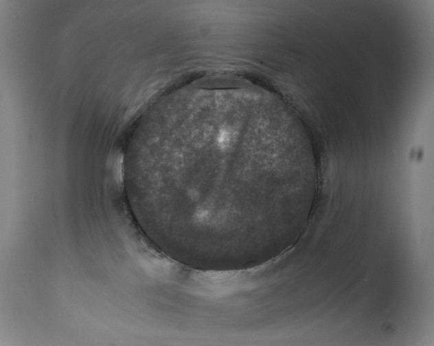 X0000110710041200907101255