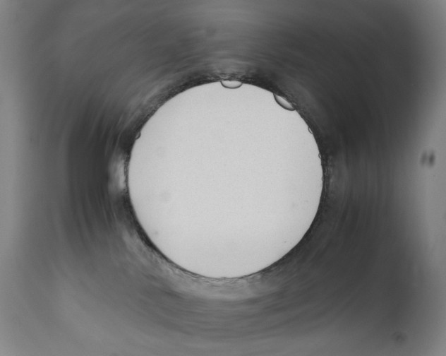X0000110710042200907101255