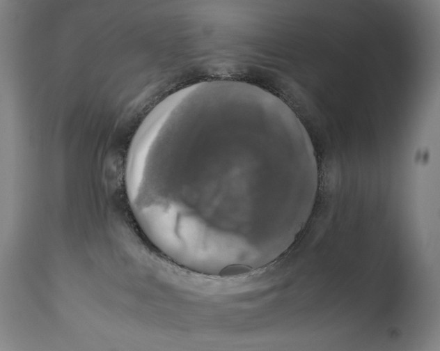 X0000110710043200907101255