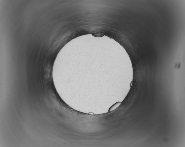 X0000110710044200907101255