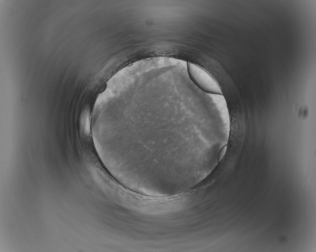 X0000110710046200907101255