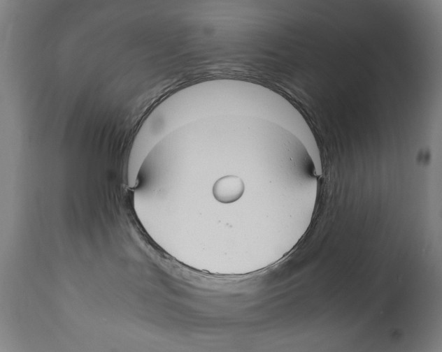 X0000110710047200907101255