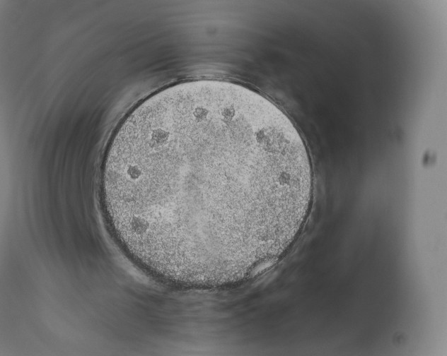 X0000110710049200907101254