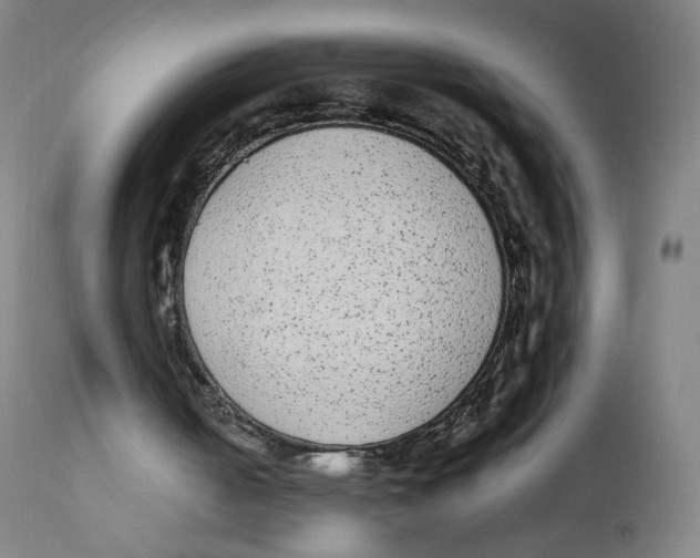 X0000110710050200907101254