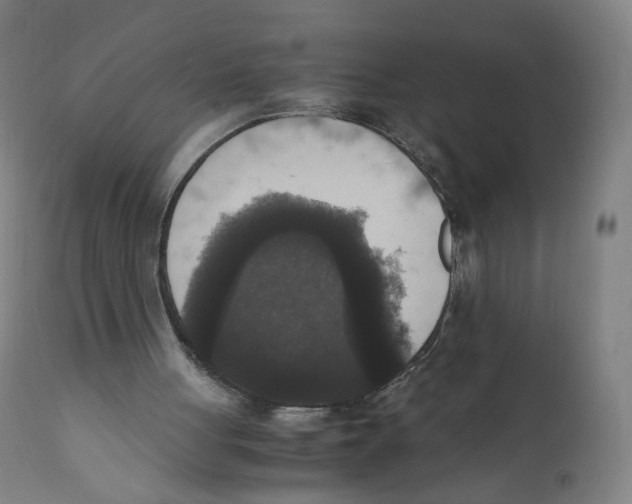 X0000110710051200907101254