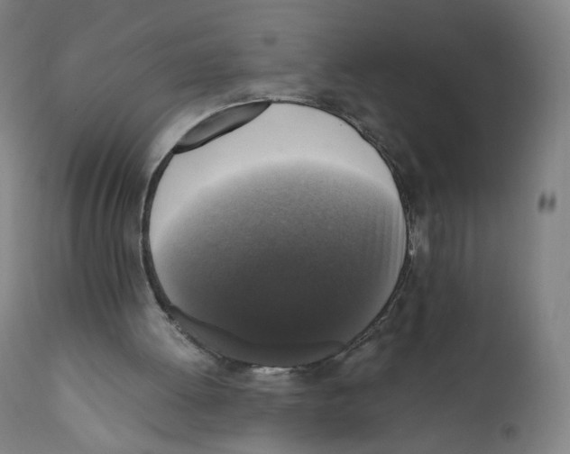 X0000110710052200907101254