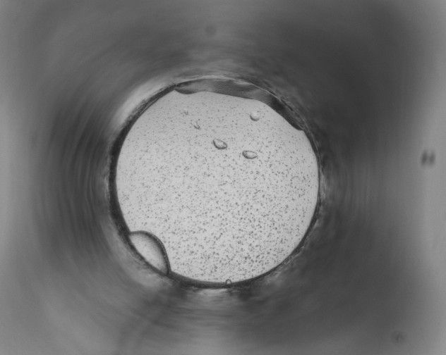 X0000110710054200907101254