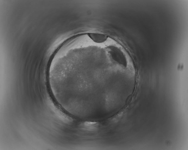 X0000110710055200907101254