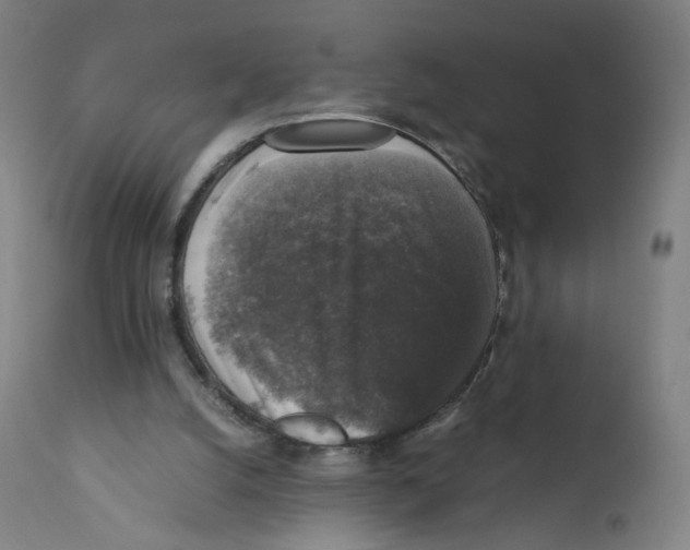 X0000110710056200907101254