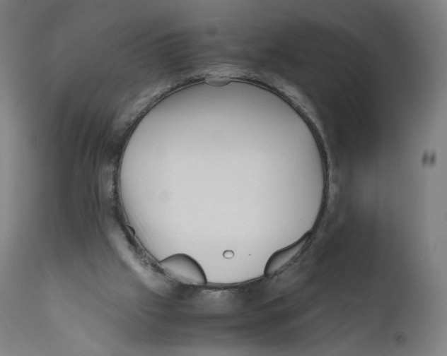 X0000110710057200907101254