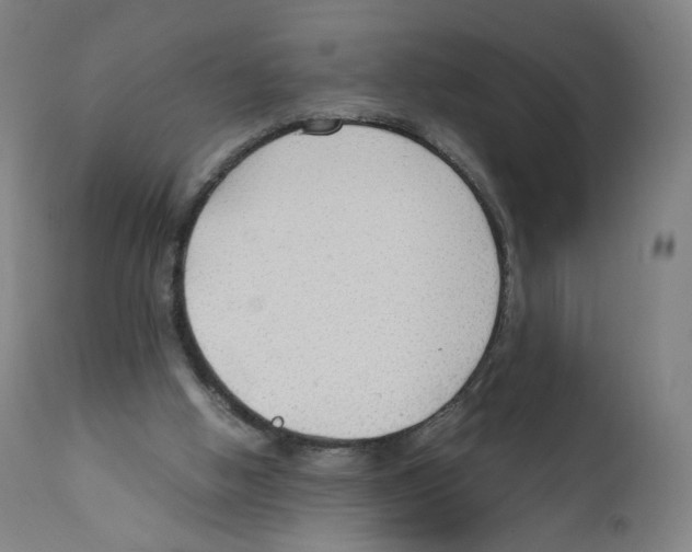 X0000110710058200907101254