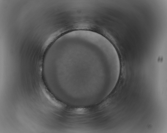 X0000110710059200907101254