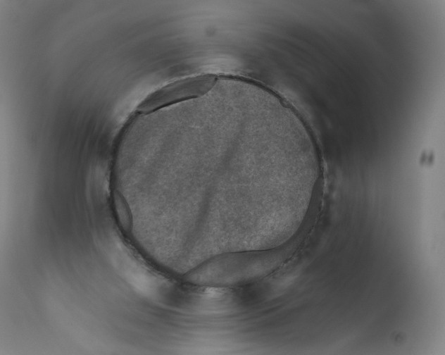 X0000110710060200907101254