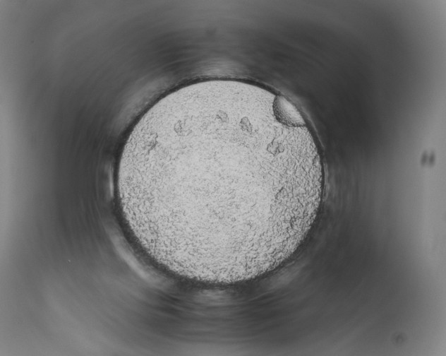 X0000110710061200907101254