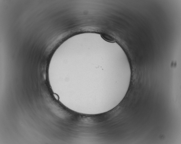 X0000110710062200907101254