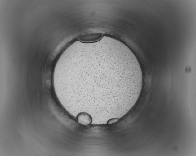 X0000110710064200907101254
