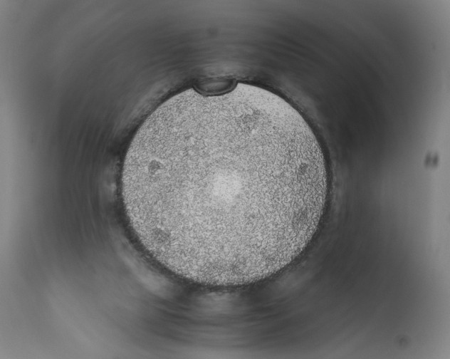 X0000110710065200907101254
