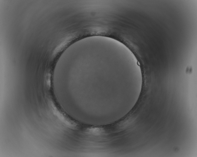 X0000110710067200907101254
