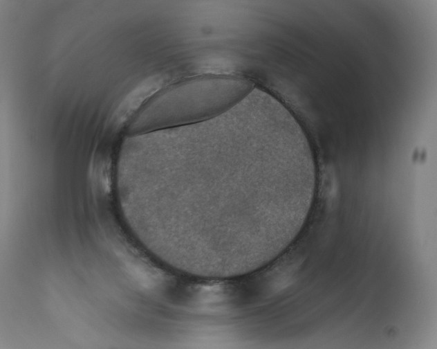 X0000110710068200907101254