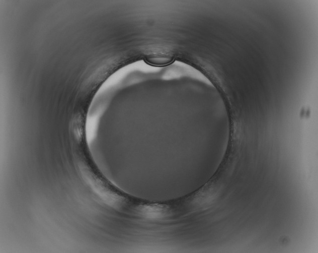 X0000110710069200907101254