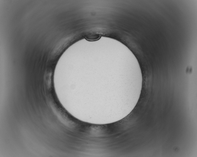 X0000110710070200907101254