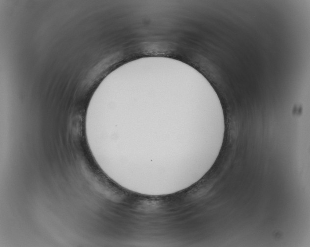 X0000110710071200907101254