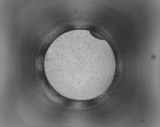 X0000110710074200907101254