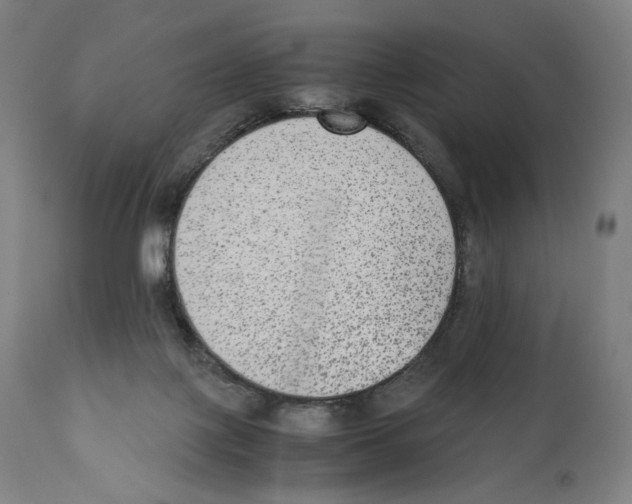 X0000110710075200907101254