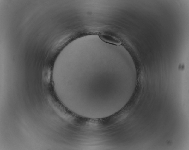 X0000110710076200907101254