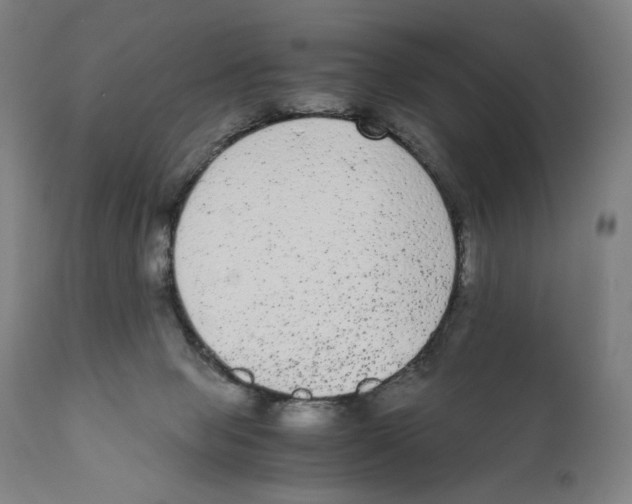X0000110710077200907101254