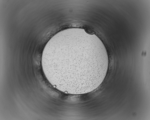 X0000110710078200907101254