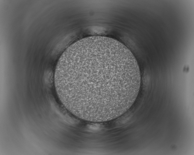 X0000110710079200907101254