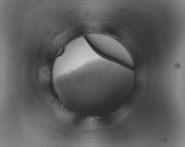 X0000110710080200907101254