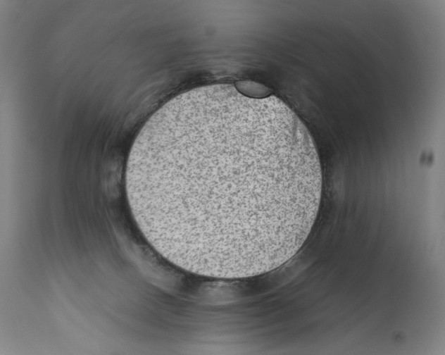 X0000110710082200907101254