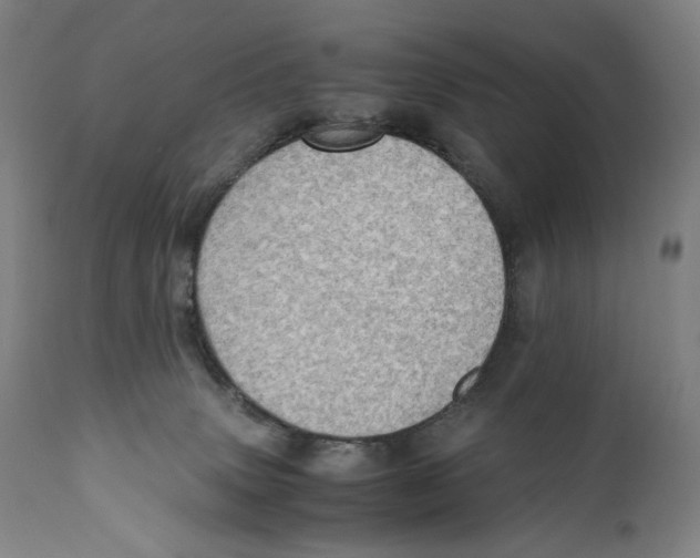 X0000110710083200907101254