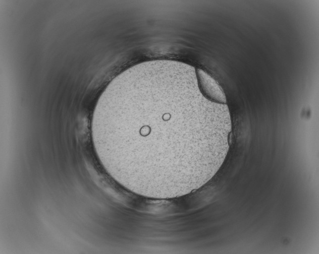 X0000110710087200907101254