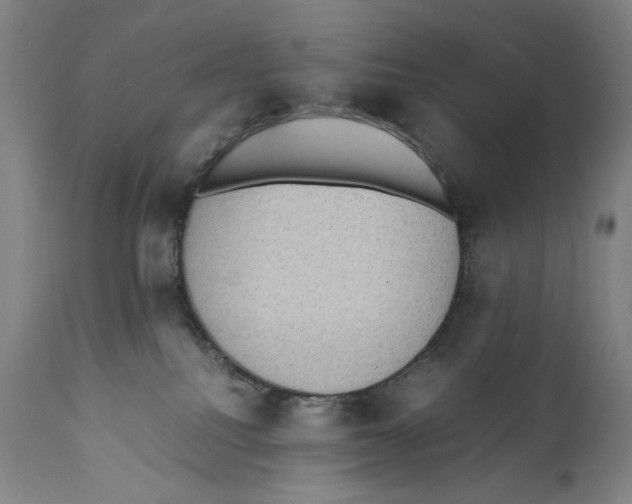 X0000110710088200907101254